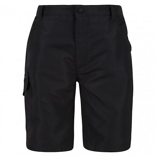 Regatta Childrens/Kids Sorcer II Shorts