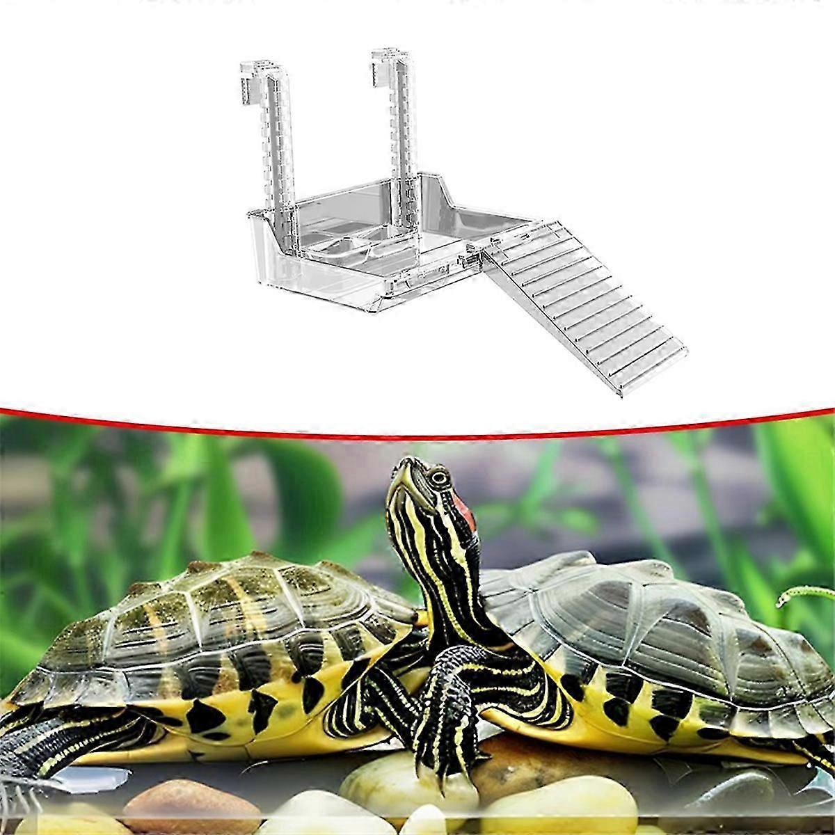 New Turtle Tank Platform Aquatic Reptile Basking Platform Turtle Tank Dock Transparent Tortoise Res