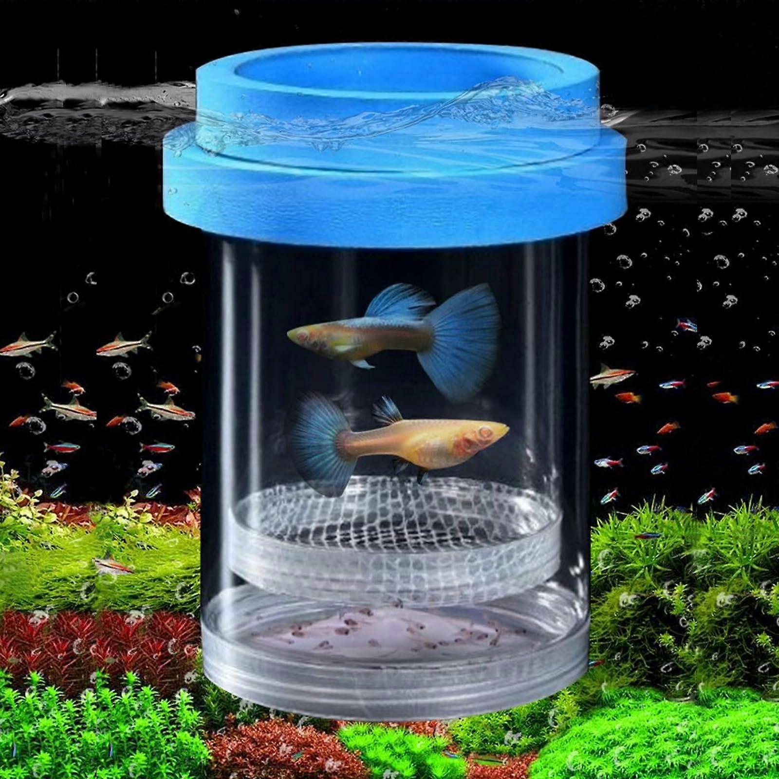 Aquarium breeding box, plastic breeding chamber, floating net, small fish, betta shrimp, guppy – adjustable divider (medium blue)