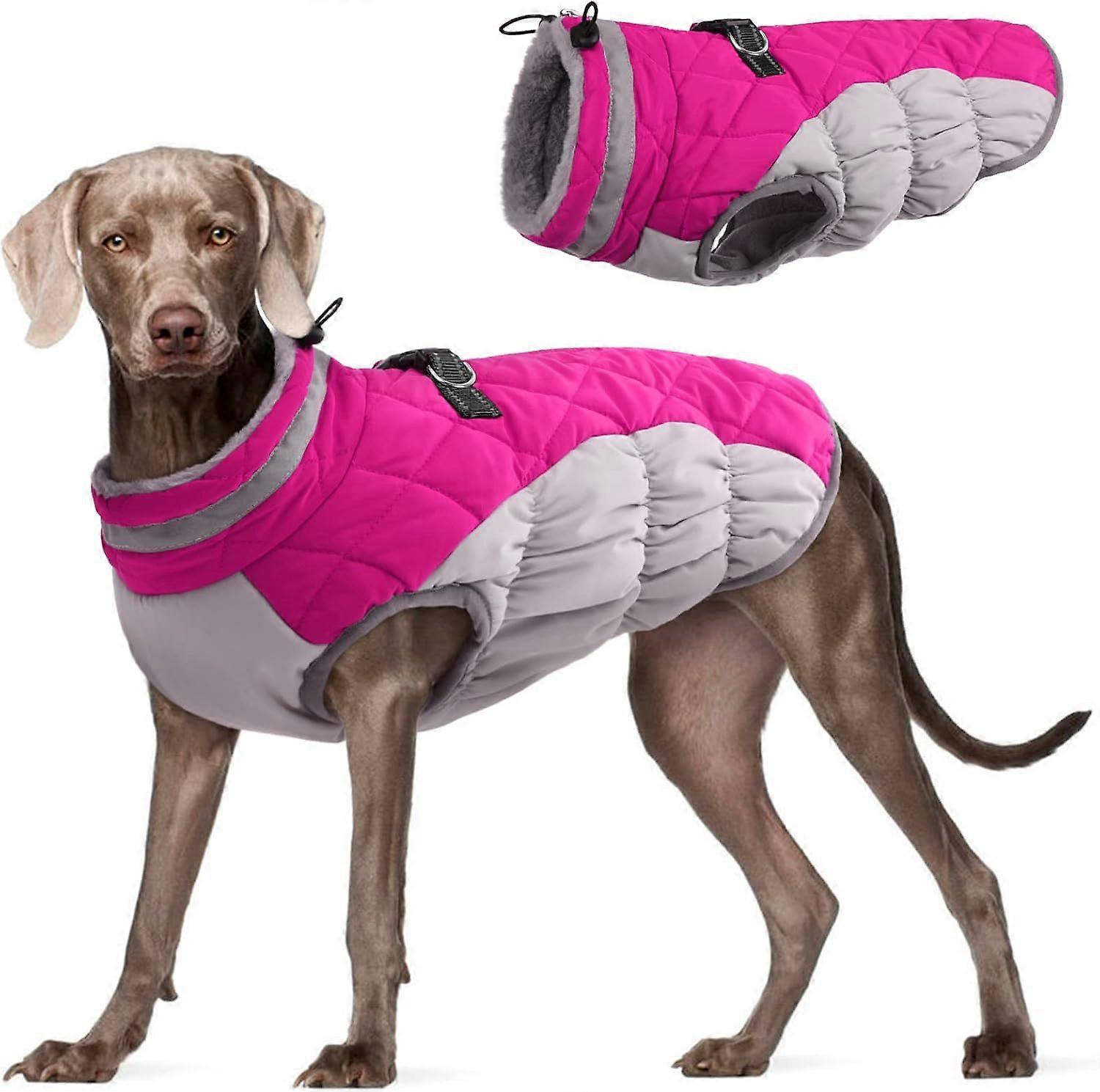 Warm winter coats for pets, available in multiple sizes, British style is popular