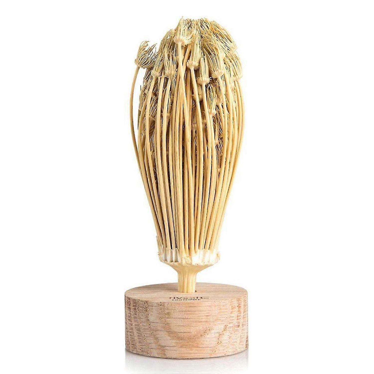 Natural tooth cures from Morocco