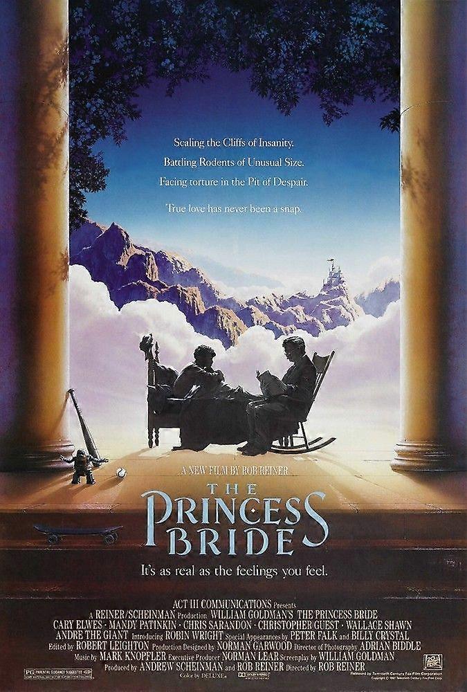 The Princess BrideJigsaw Puzzle Brain Teaser EB 3704