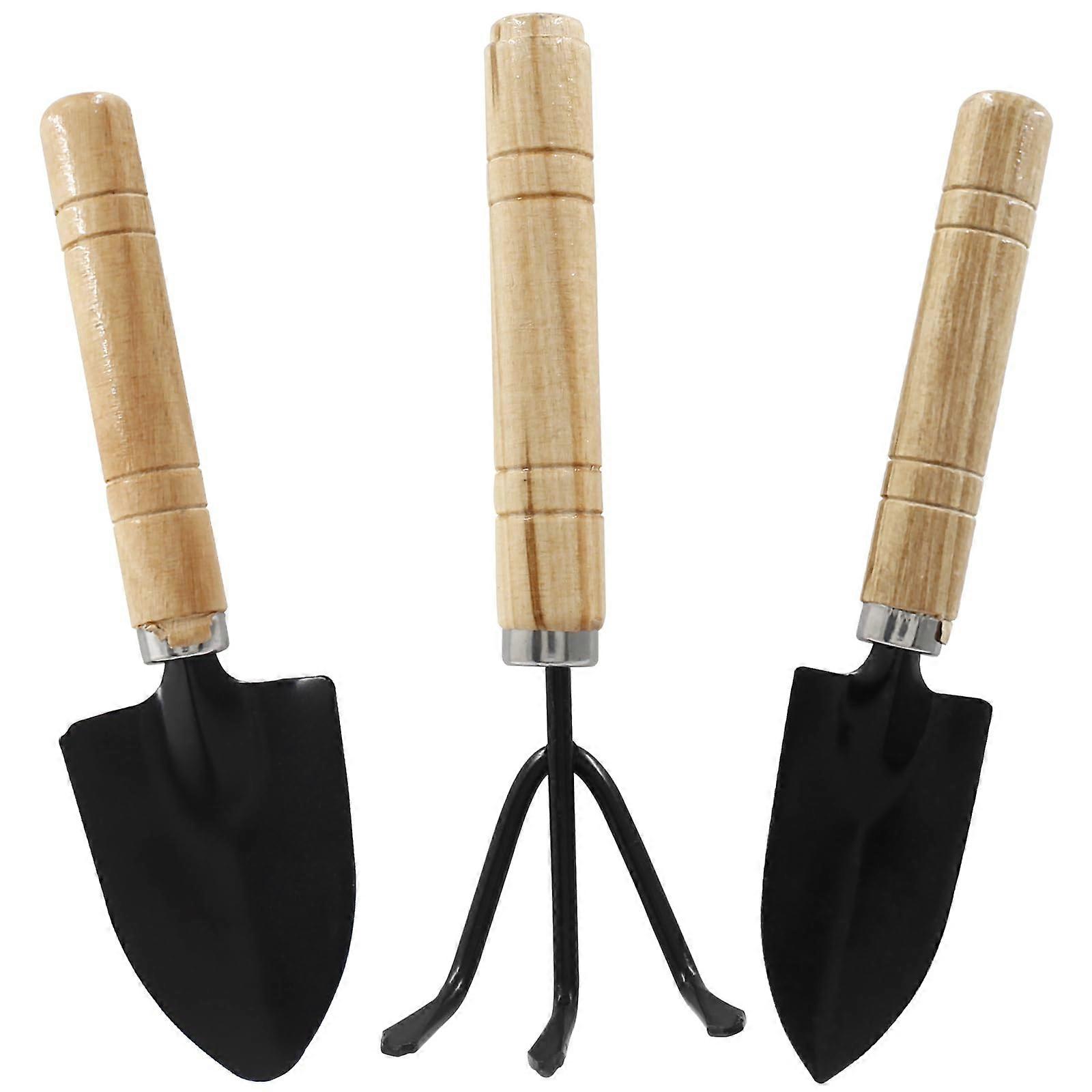 Mini Garden Tools Set with Wooden Handle, 3 Piece Small Indoor Kit for Succulents and Flowers