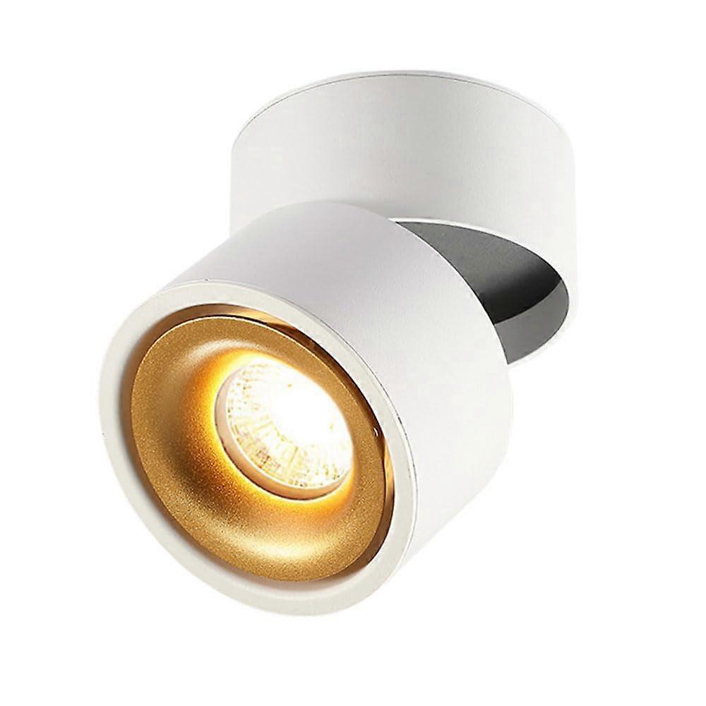 Adjustable Ceiling Spotlight LED Flush Mount Gallery Picture Lights Artwork Display White 4000K 12W