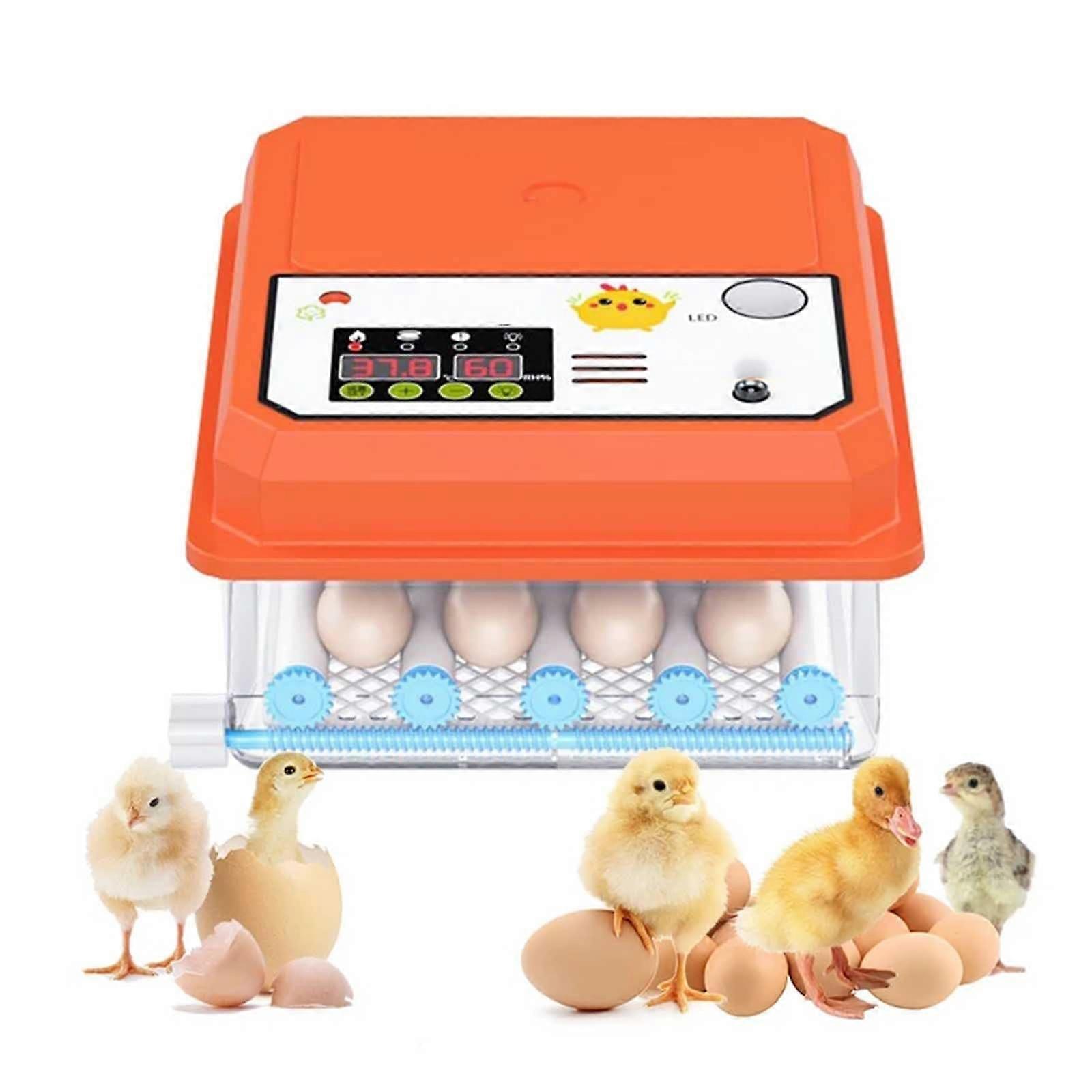 9 Egg Incubator with Automatic Temperature Control and Turning for Chicken Duck Quail Hatching