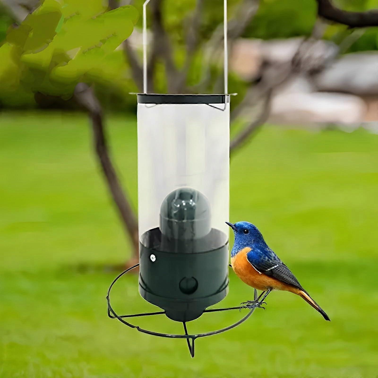 Squirrel Proof Hanging Bird Feeder with Rotating Perch, Weather Resistant for Backyard