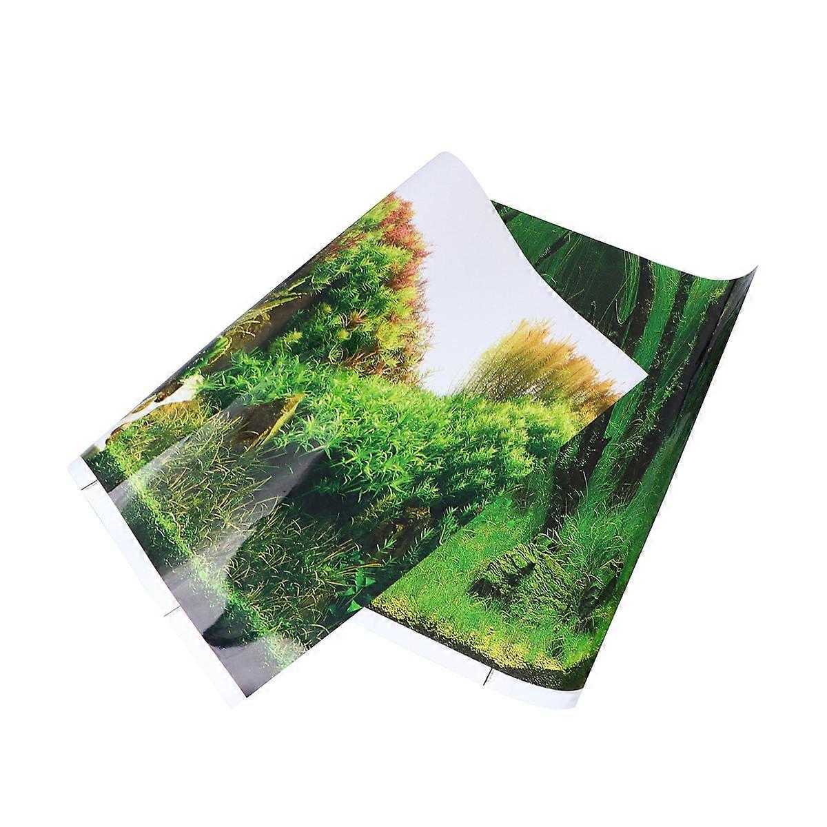 Tank Background Sticker for Aquarium Decor 3Pcs Pack