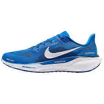 Nike Air Zoom Pegasus 41 Dsu FZ5110-400