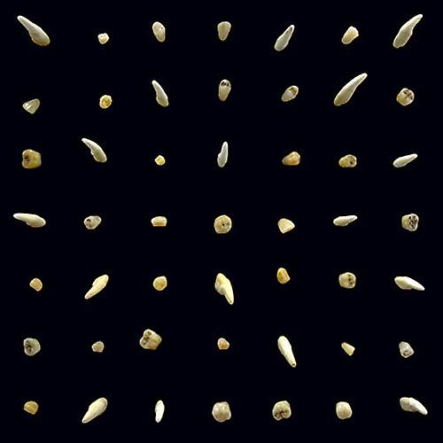 Απόκομμα. - Οράματα σωμάτων που καίγονται [CD]