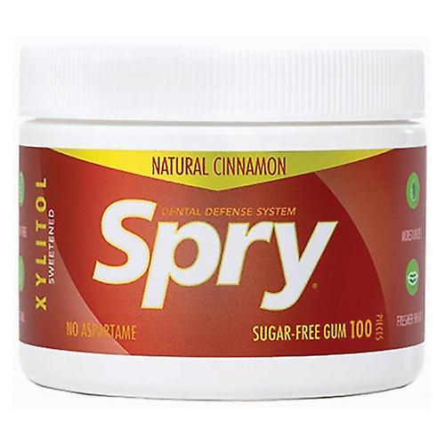 Xlear Inc Kaugummi, Zimt 100 Count (1er-Packung)