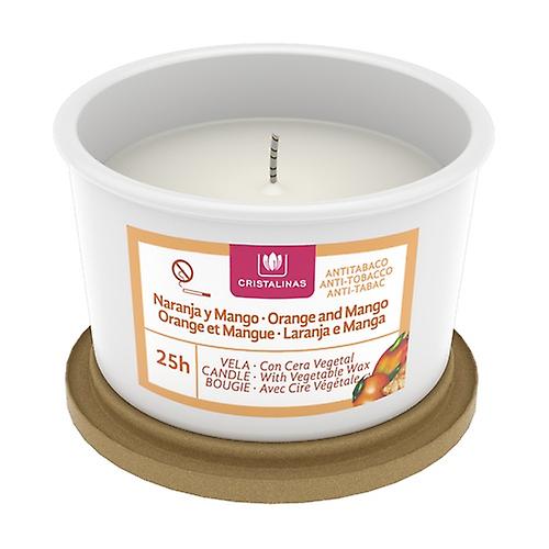 Classic 25h orange and mango gelato candle 1 unit