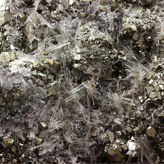 Pyrite + Quartz 7339.0 carats