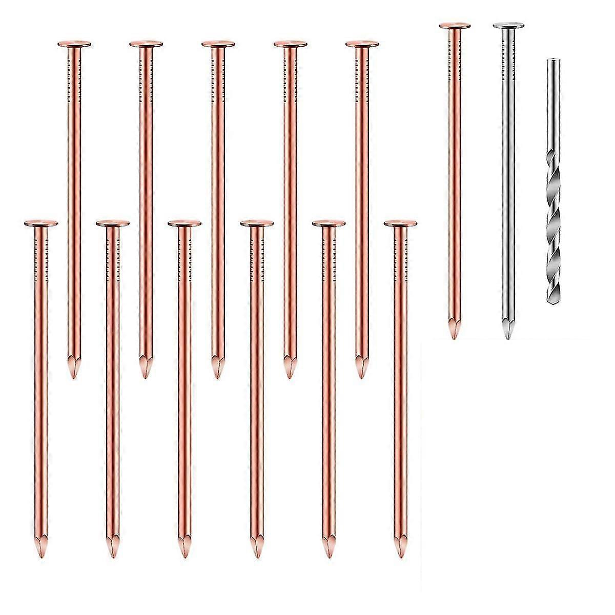 Kit de 14 clous en cuivre pour abattre les arbres, clous en cuivre pur de 3,5 pouces en vrac, pointes pour enlever les souches