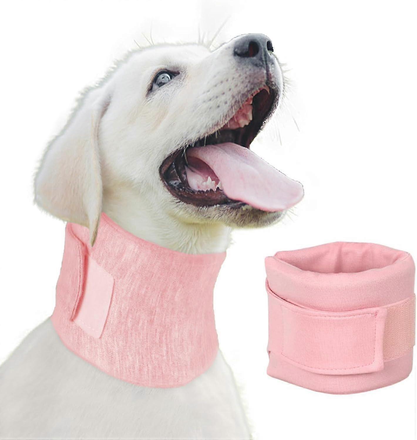 Dog Neck Brace Elizabethan Collar, Recovery After Surgery