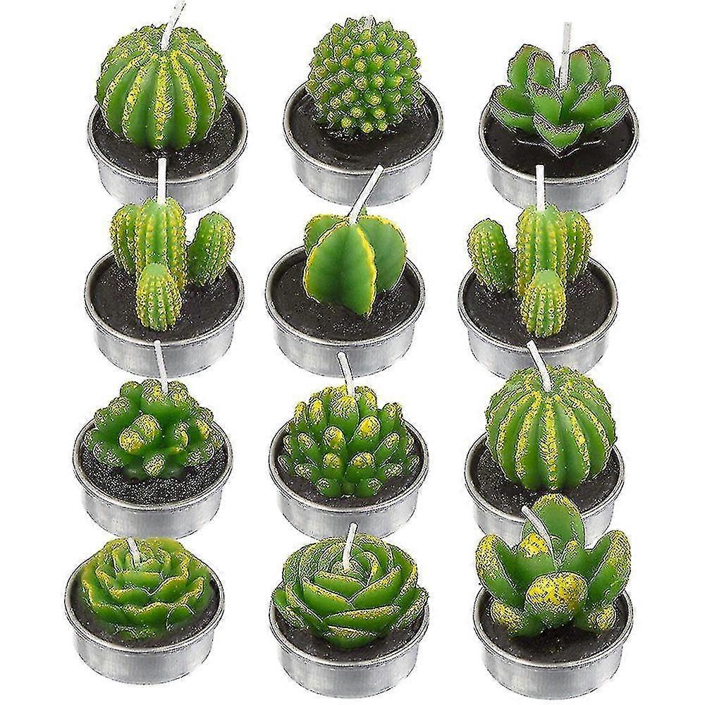 12 Cactus Candles, Artificial Plant Succulent Candles, Valentine's Day