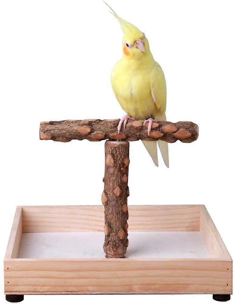 Bird Stand Tabletop, Parrot Play Stand Perch Gym for Small Medium Parrot