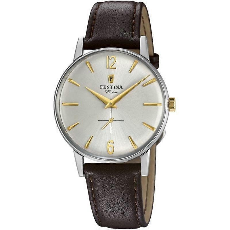 Festina Extra Brown Watch