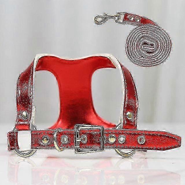 Soft Leather Dog Collar and Leash Set Adjustable Lengths Leash for Small Medium Large Dogs Size M