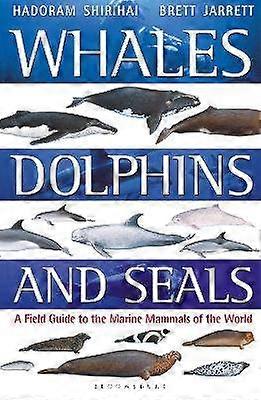 Whales Dolphins and Seals