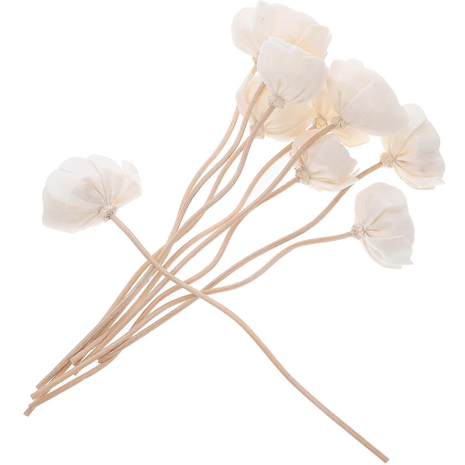Essential Oil Diffuser Sticks Dried Flower Diffuser Sticks for Home 40Pcs