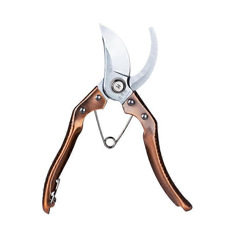 Professional Pruning Shears with Sharp Blades for Bonsai, Fruit Tree and Flower Branch Cutting