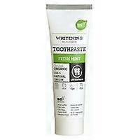 Fresh Mint Toothpaste 75 ml