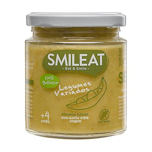 Jar of Mixed Vegetables Eco (4 months) 230 g