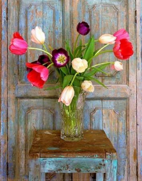 Tulips, Mexico Poster