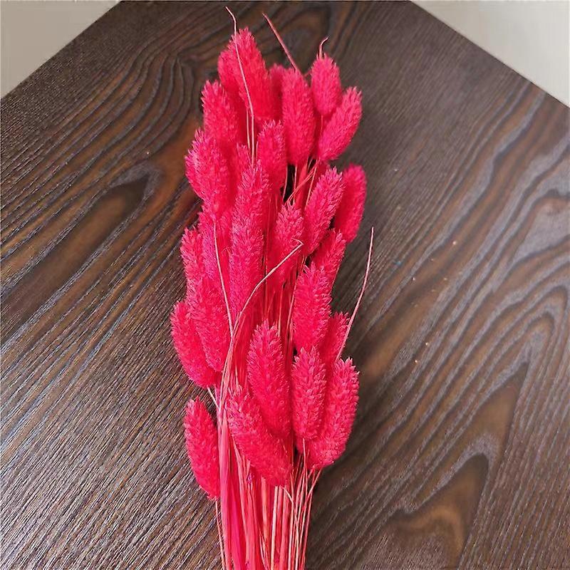 25kpl/30-35cmLuonnollinen kuivakukka helmi ruoho aito kauneus ruoho niput häät koti juhlat kukka-asetelmalahjakortti sisustus