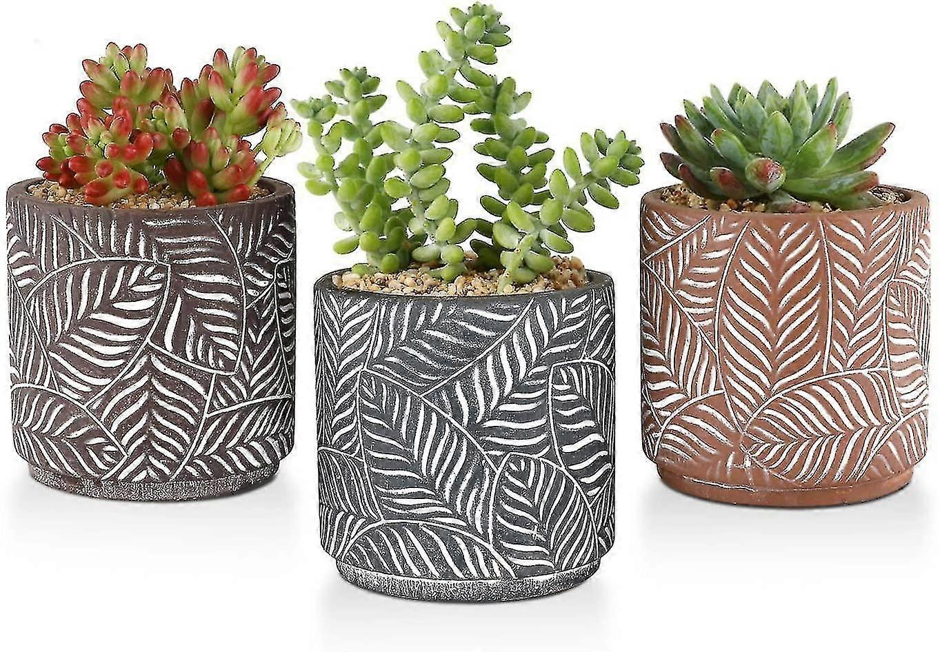 Cement Succulent Planter Pots Round 4 Inch Set Of 3, Leaf Pattern Small Indoor Concrete Cactus Bonsa