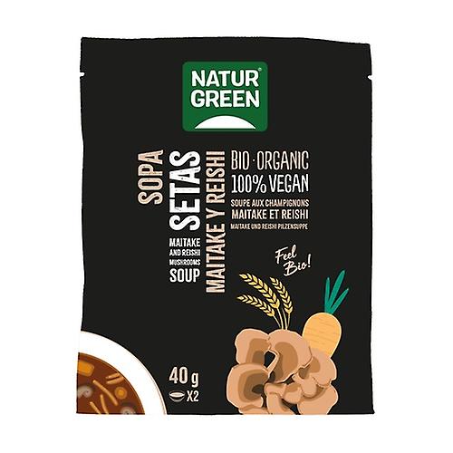 Maitake and reishi mushroom soup 40 g