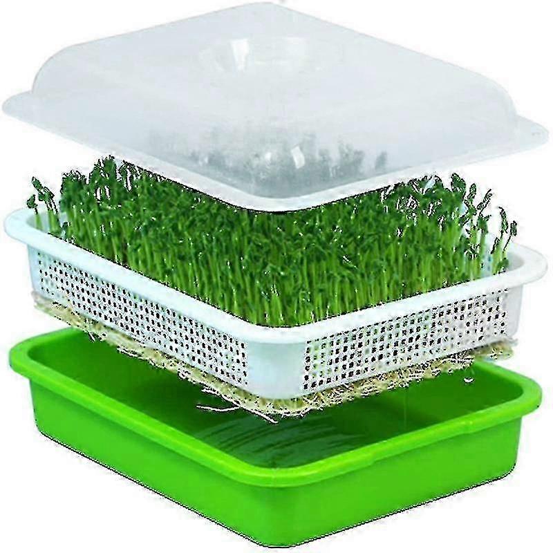 Seed Sprouter Tray With Lid Bpa Free Bean Sprout Grower Sprouting Seeds Tray, Dirt Free Way And Big (haoyi
