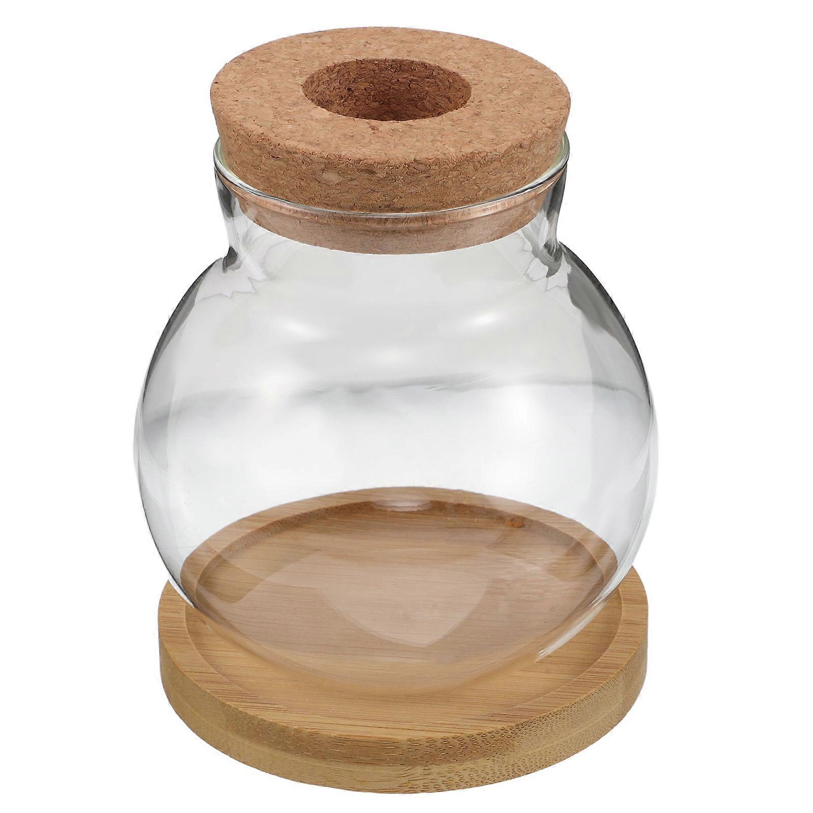 Glass Hydroponic Water Propagation Vase for Plants 2Sets