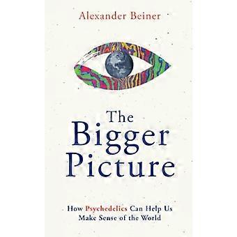 The Bigger Picture How Psychedelics Can Help Us Make Sense of the World
