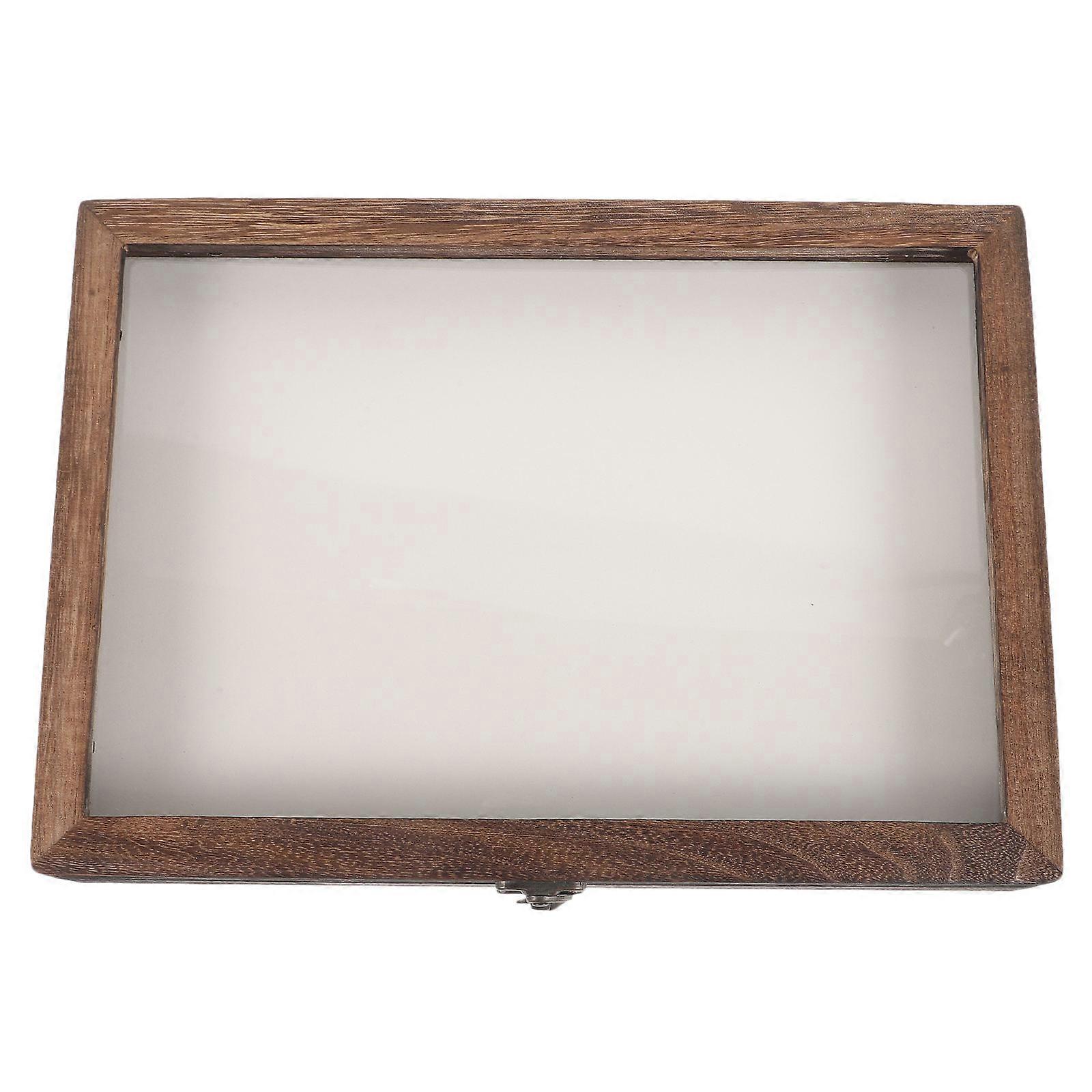 Insects Display Case Storage Container Rectangular Box For Wall Hanging Decoration With High Transparency Coffee 1 Set