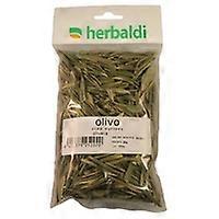 Liść oliwki mielony 50 g