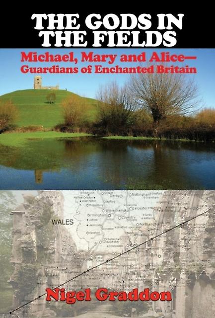 The Gods In The Fields by Nigel Nigel Graddon Graddon Paperback