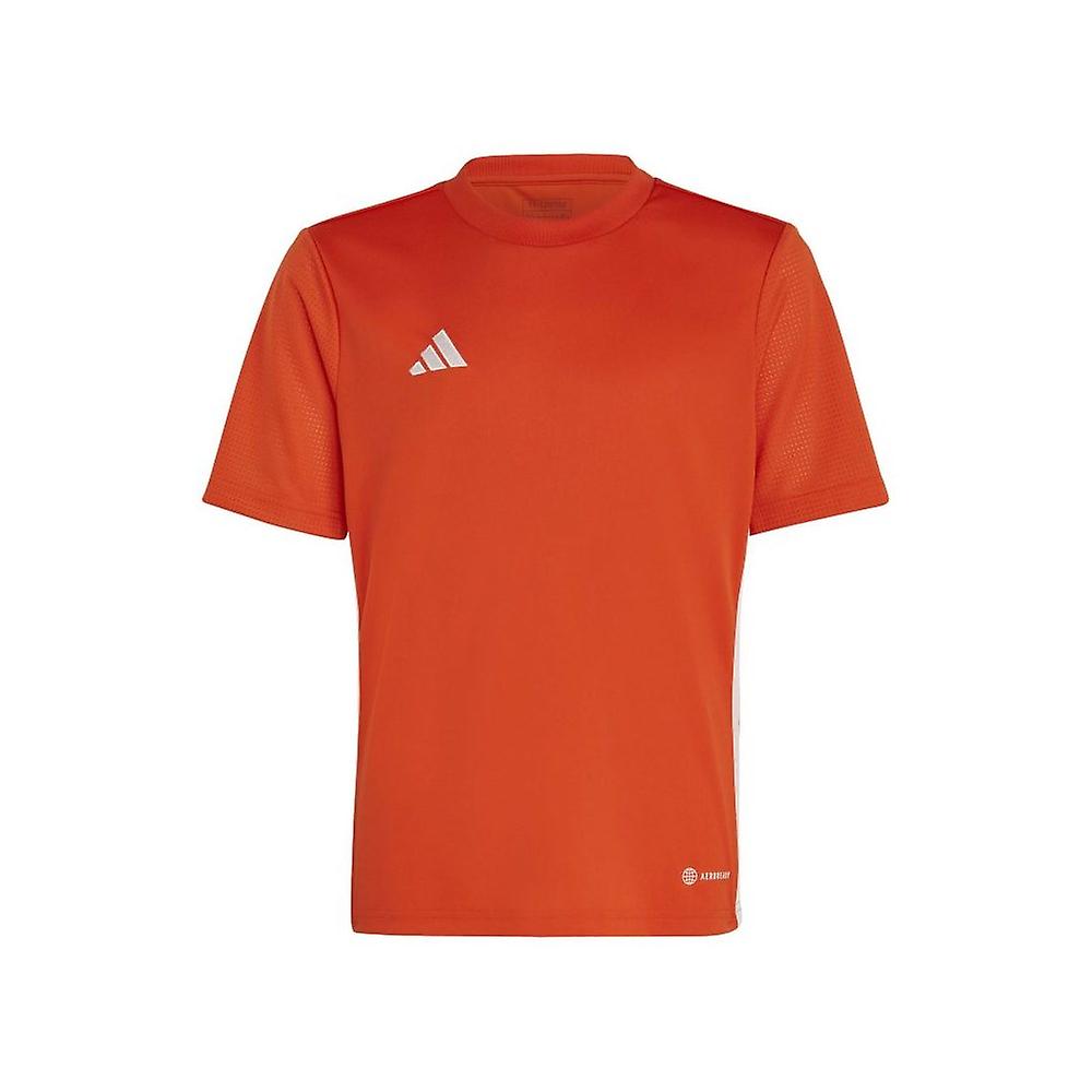 Adidas Tabela 23 Jr IB4934 football all year boy