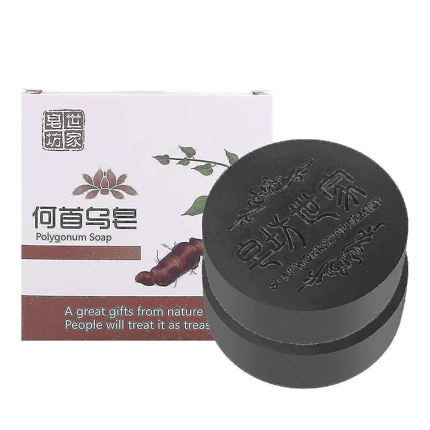 2 stuks Zwart & dik Haar Fallopia Multiflora Shampoo Bar, haar Verduistering-shampo-nieuw