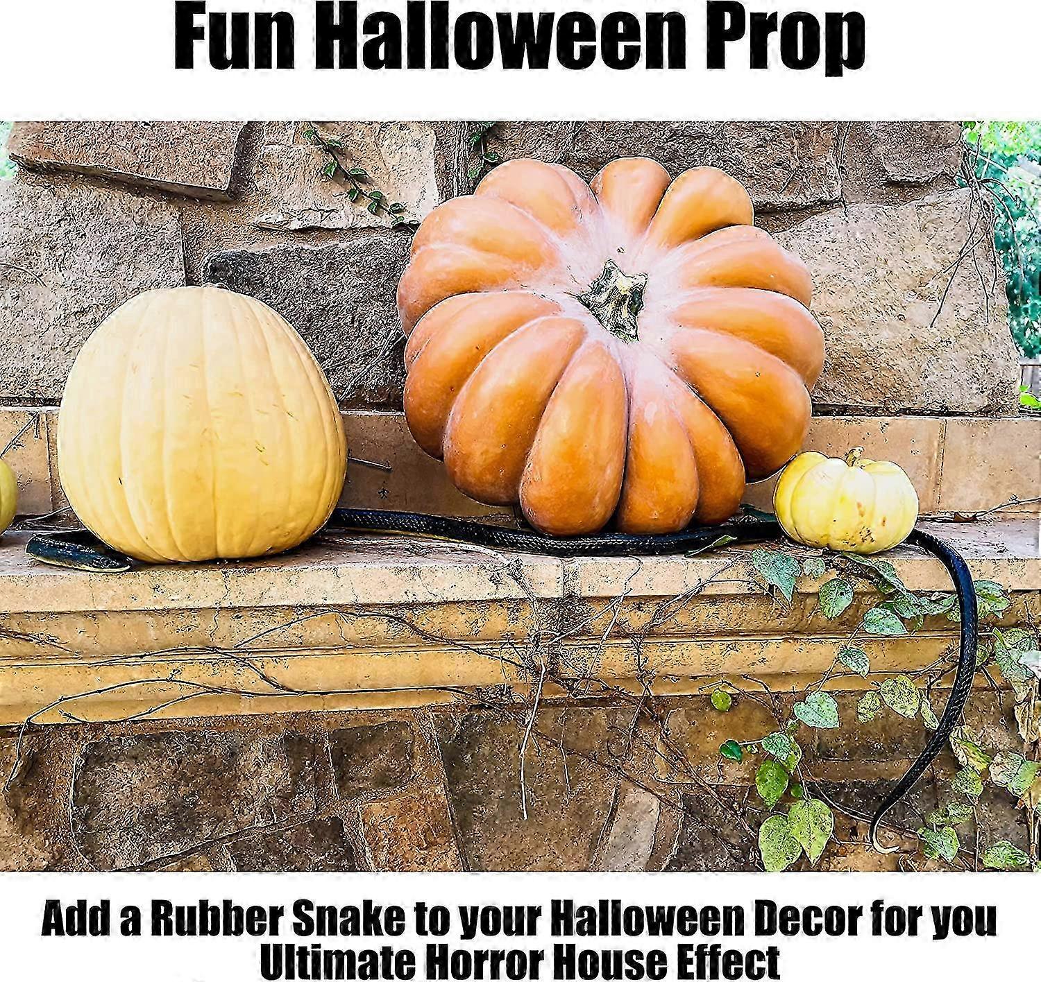 Shop Realistic Toy Snakes In Various Sizes And Colors At - Foto 7