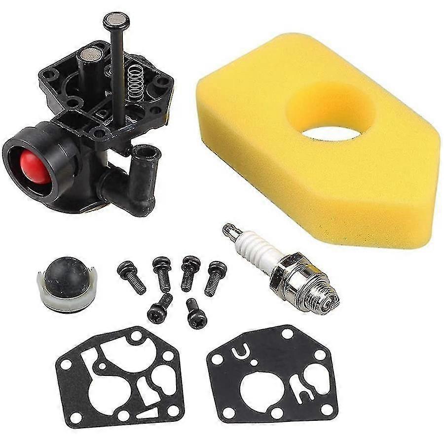 Carburetor + Air Filter For Briggs & Stratton 795469 794147 699660