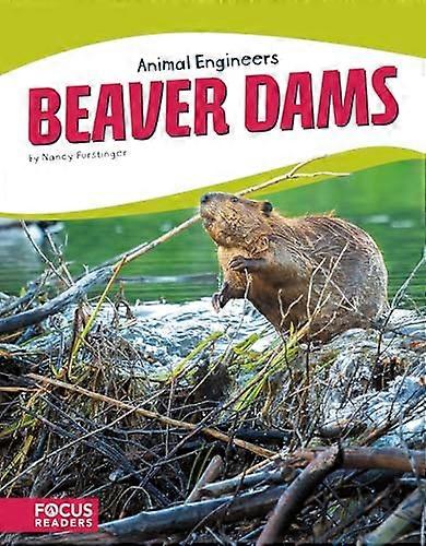 Beaver Dams