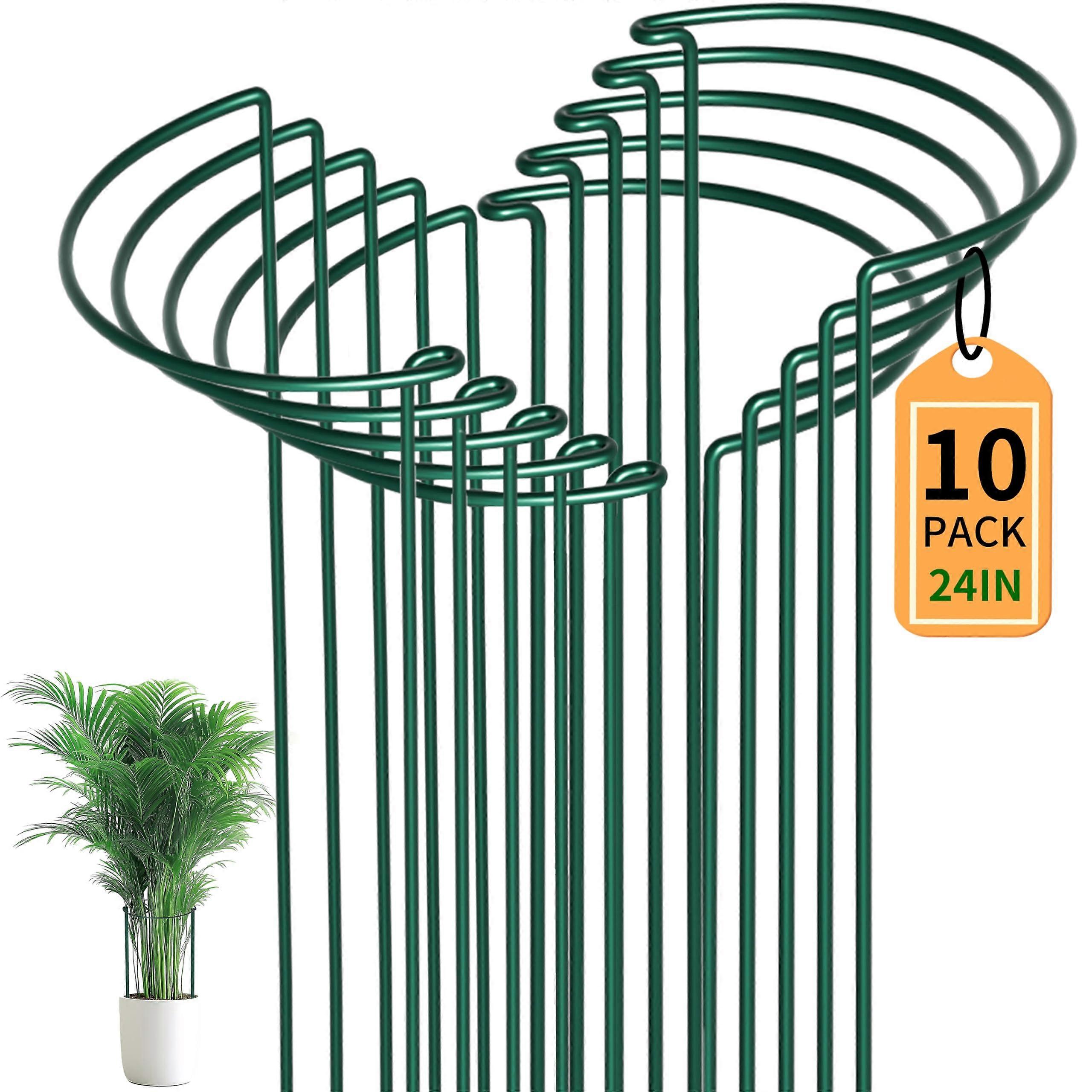 Sturdy Metal Plant Supports Pack of 10 - 30 cm Diameter x 60 cm Height Trellis for Tomatoes, Vegetables, Hydrangeas, Durable Rustproof Design