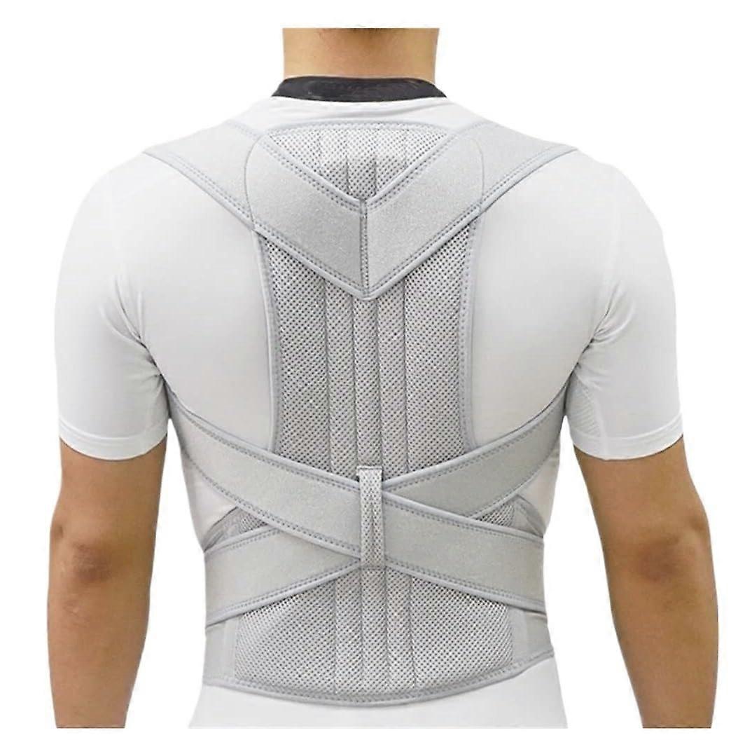 BackWaist Posture Corrector, Adjustable Hunchback Correction Belt, Waist Trainer, Back Support Belt L G