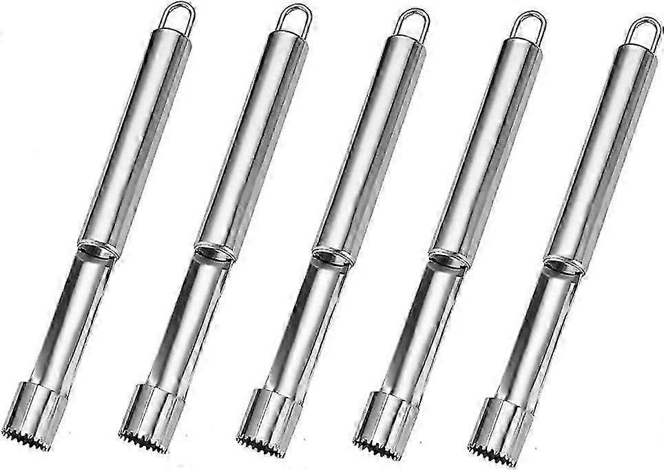 Multi-Function Fruit Corer(5pcs, silver) hwy