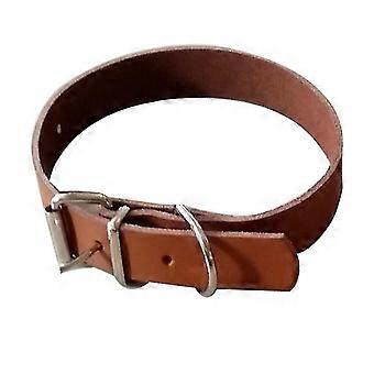 De nieuwe 1pcs speciale puppy halsband