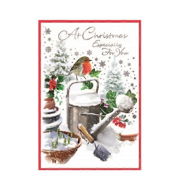 Simon Elvin At Christmas Especially For You Robin Greetings Card (Pack of 6)