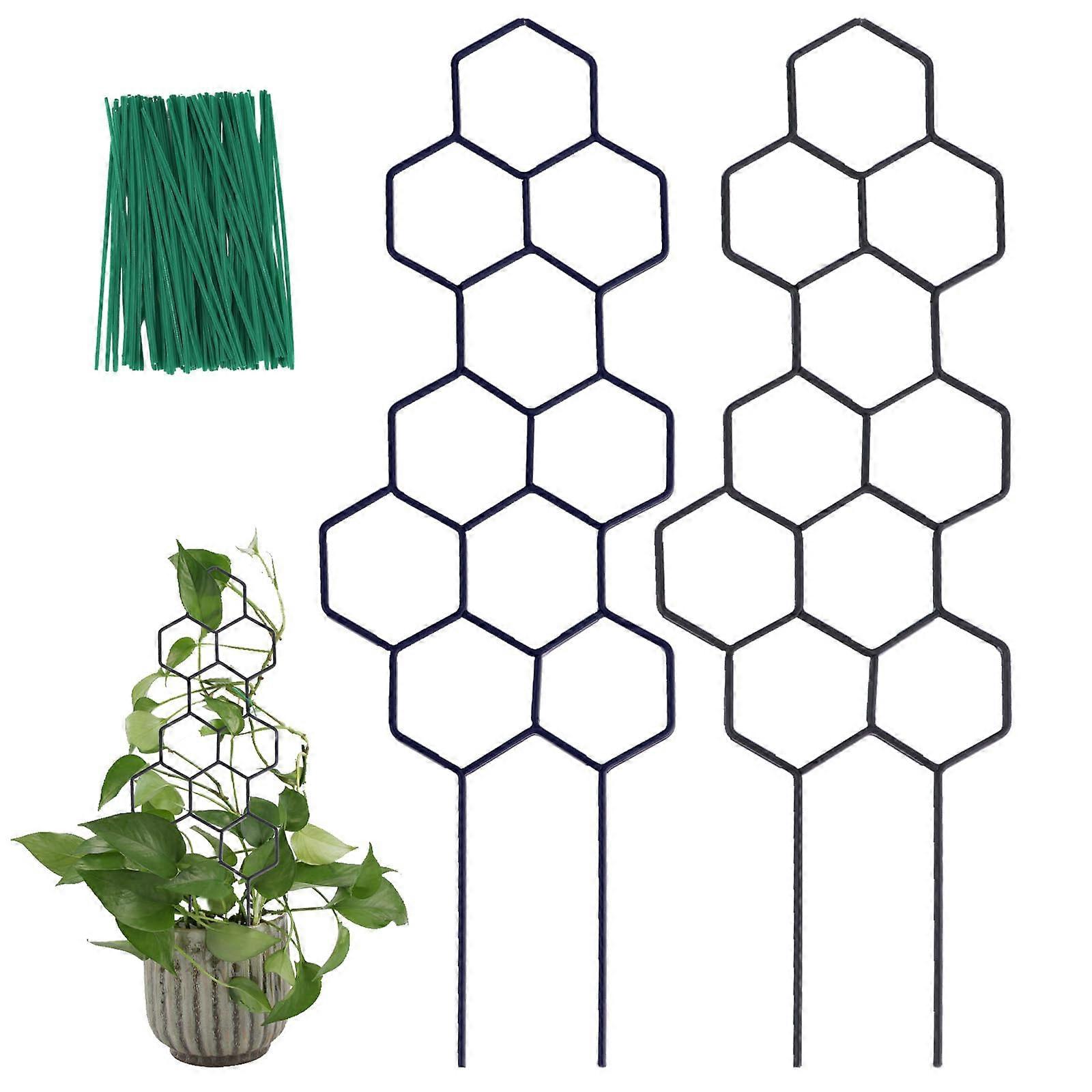 Metal Plant Trellis 15.94in Honeycomb RustResistant 2 Pack for Potted and Climbing Plants with Ties