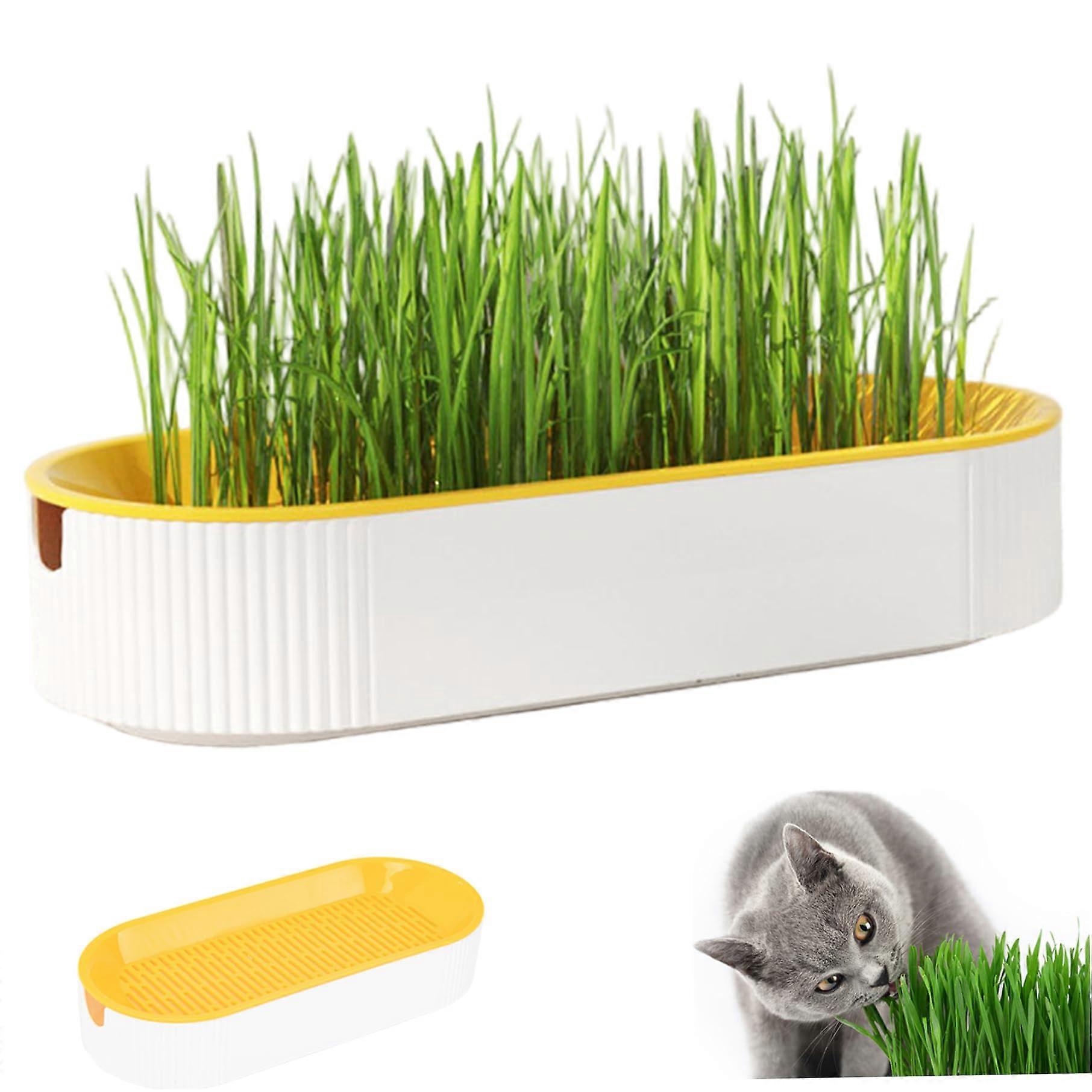 Cat Grass Planter Soil Hydroponic Kit with Removable Mesh and Water Level Window Indoor Use