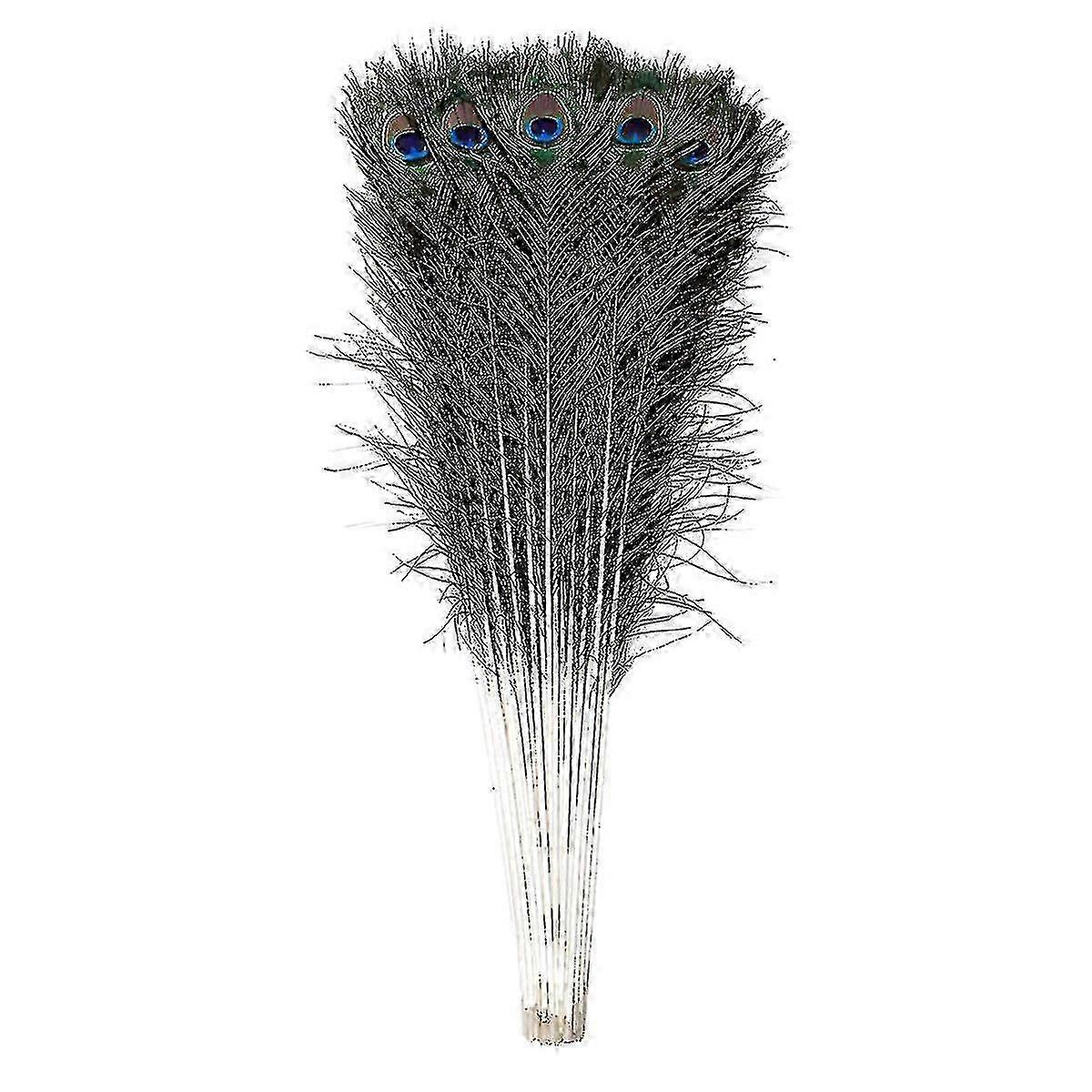 Natural Large Peacock Feathers For Decoration